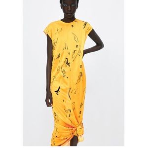 Zara Collection Maxi Dress